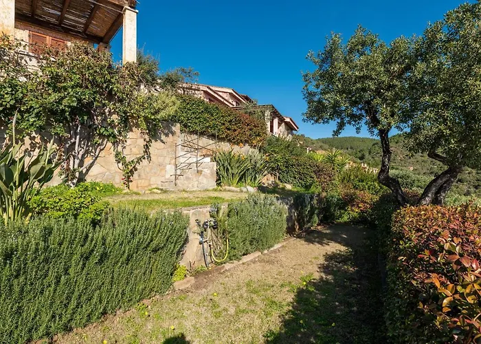 Дом отдыха Il Pasha *